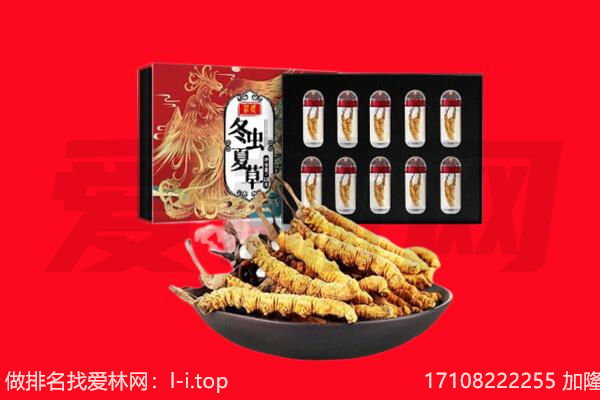 德令哈市回收虫草.jpg